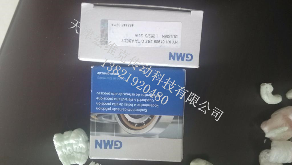 GMN HYKH6005 2RZCTAP4軸承