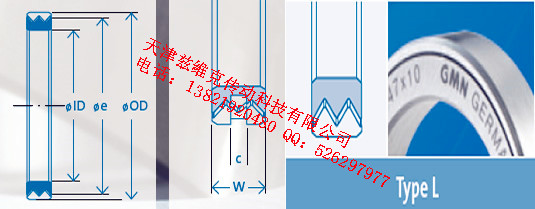 GMNL180X210X20油封圖紙